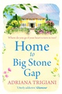Cover: Home to Big Stone Gap - Simon & Schuster Ltd