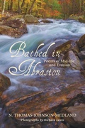 Cover: Bathed in Abrasion - Wipf & Stock Publishers