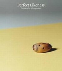 Enlarge image Cover: Perfect Likeness - Prestel