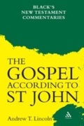 Cover: Gospel According to St John - Continuum Publishing Corporation