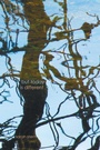 Cover: But Today Is Different - Wipf & Stock Publishers