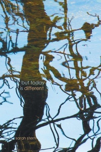 Enlarge image Cover: But Today Is Different - Wipf & Stock Publishers