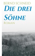 Cover: Die drei Soehne - tredition