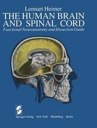 Abbildung von: The Human Brain and Spinal Cord - Springer