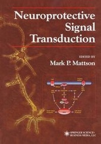 Enlarge image Cover: Neuroprotective Signal Transduction - Springer