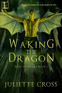 Enlarge image Cover: Waking the Dragon - Kensington Publishing Corporation