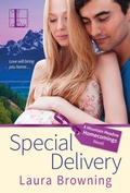 Cover: Special Delivery - Lyrical Press