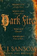Cover: Dark Fire - Pan Books