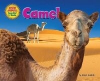 Enlarge image Cover: Camel - Bearport Books