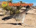 Cover: Roadrunner - Bearport Books