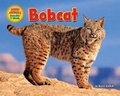 Cover: Bobcat - Bearport Books