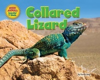 Enlarge image Cover: Collared Lizard - Bearport Books