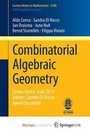 Cover: Combinatorial Algebraic Geometry - Springer