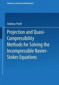 Enlarge image Cover: Projection and Quasi-Compressibility Methods for Solving the Incompressible Navier-Stokes Equations - Springer