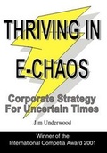 Cover: Thriving in E-Chaos - iUniverse