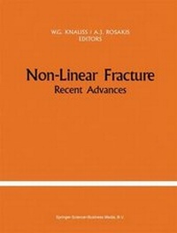 Enlarge image Cover: Non-Linear Fracture - Springer