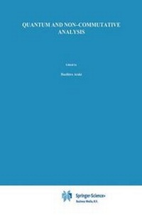 Enlarge image Cover: Quantum and Non-Commutative Analysis - Springer