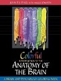 Cover: A Colorful Introduction to the Anatomy of the Human Brain - Pearson
