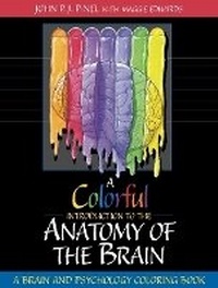 Abbildung von: A Colorful Introduction to the Anatomy of the Human Brain - Pearson
