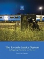 Cover: The Juvenile Justice System - Pearson