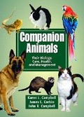 Cover: Companion Animals - Pearson