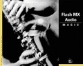 Cover: Flash MX Audio Magic - New Riders
