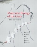 Cover: Molecular Biology of the Gene - Pearson Education (US)