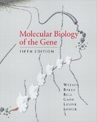 Abbildung von: Molecular Biology of the Gene - Pearson Education (US)