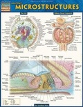 Cover: Anatomy: Microstructures - Barcharts, Inc
