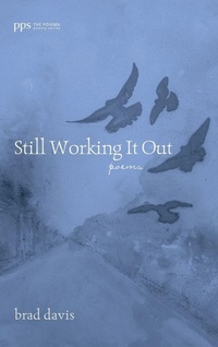 Enlarge image Cover: Still Working It Out - Wipf & Stock Publishers