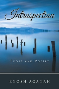 Abbildung von: Introspection - iUniverse