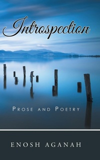 Abbildung von: Introspection - iUniverse