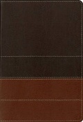 Cover: Zondervan NIV Study Bible: Large Print Edition - Zondervan