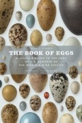 Cover: The Book of Eggs - Ivy Press