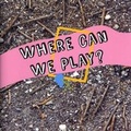 Cover: Where Can We Play? - Golden Thread Gallery
