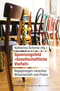 Cover: Spannungsfeld &raquo;Gesellschaftliche Vielfalt&laquo; - transcript