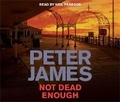 Cover: Not Dead Enough - Macmillan Audio Books