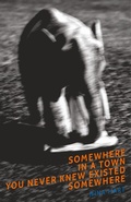 Cover: Somewhere in a Town You Never Knew Existed Somewhere - Ms. Nina Hart