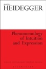 Cover: Phenomenology of Intuition and Expression - Bloomsbury Continuum