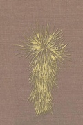 Cover: Marfa and Presidio County, Texas - Xlibris
