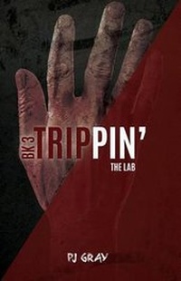 Enlarge image Cover: The Lab Book 3 - Saddleback Educational Publishing, Inc.