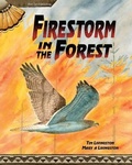 Cover: Firestorm in the Forest - Red Tail Publishing