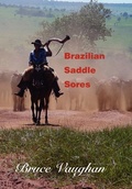 Cover: Brazilian Saddle Sores - iUniverse