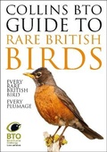 Cover: Collins BTO Guide to Rare British Birds - William Collins