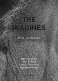 Enlarge image Cover: The Imagines - Sternberg Press