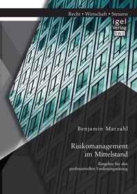 Abbildung von: Risikomanagement im Mittelstand - Igel Verlag