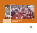 Cover: DLG-Futterwerttabellen SCHWEINE - DLG-Verlag