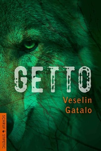 Abbildung von: Getto - Schruf & Stipetic