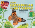 Cover: From Caterpillar To Butterfly - HarperCollins