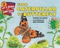 Cover: From Caterpillar To Butterfly - HarperCollins